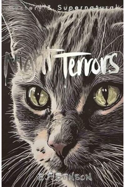 Wordsworth Editions Terori nocturne: Povești cu fantome ale lui E.F. Benson (...