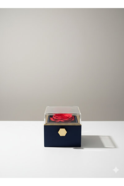 Kaan Accessoire Crown Your Romantic Moments: Luxurious Navy Blue Jewelry Box with Transparent Lid
