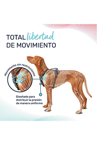 Company Of Animals Dog Harness Burgundy L 42-65 cm