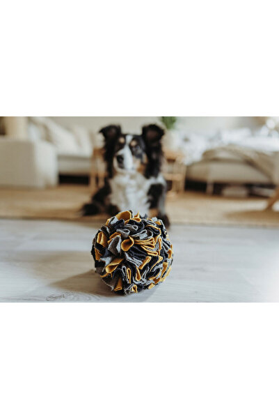 Hunter Jucărie pentru câini