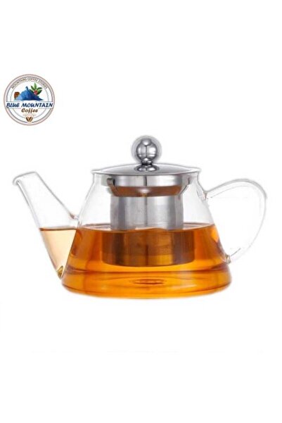 Blue mountain إبريق شاي زجاجي على شكل حرف V مع مصفاة من الفولاذ المقاوم للصدأ