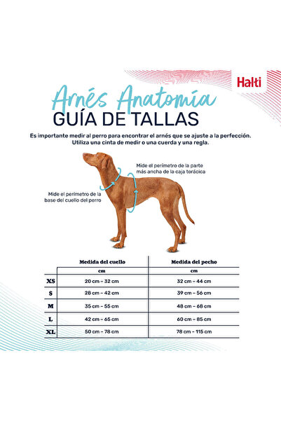 Company Of Animals Dog Harness Grey M 35-55 cm