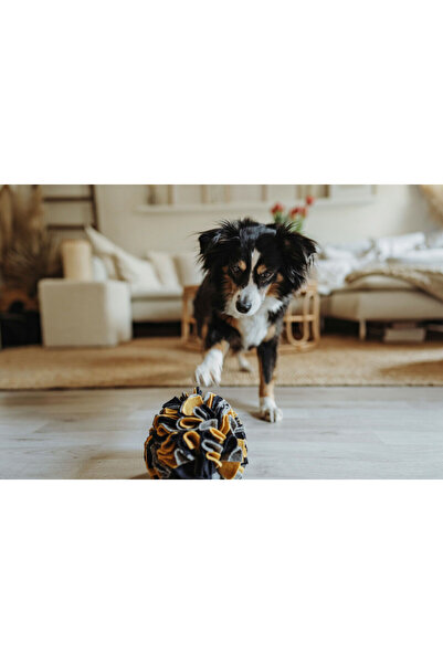 Hunter Jucărie pentru câini