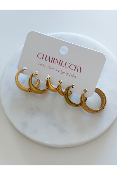 CHARMLUCKY Steel 6-Piece Basic Hoop Earring Set