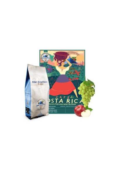 Blue mountain قهوة كوستاريكا سونورا روجو المحمصة - 1000 جرام