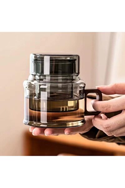 Qerhome Borosilicate Glass Acacia Handle Glass Strainer Herbal Tea Infuser 400 ml