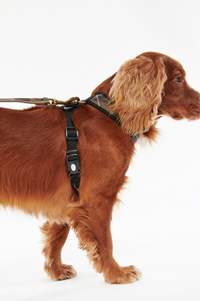 Barbour Tartan Köpek Göğüs Tasması TN11 Classic Tartan
