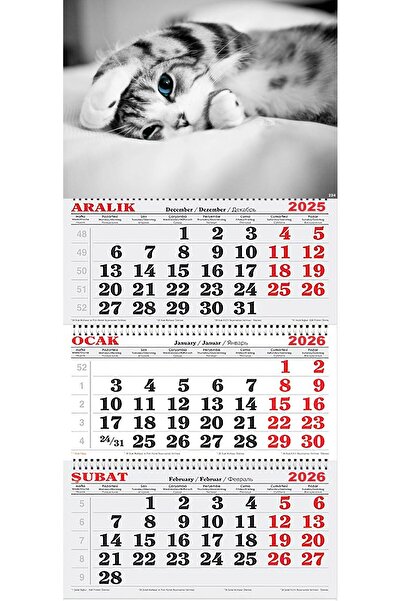 GENC DIJITAL BASKI 2026 Yılı Gemici Takvimi-Tatlı Kedi