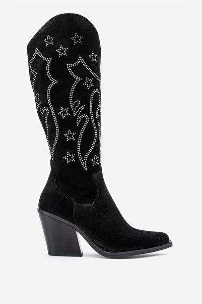 Dericlub Women's High Heel Pointed Toe Boots Real Suede Leather Zy 1609 Black