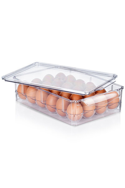 Other Egg holder with lid for 24 eggs