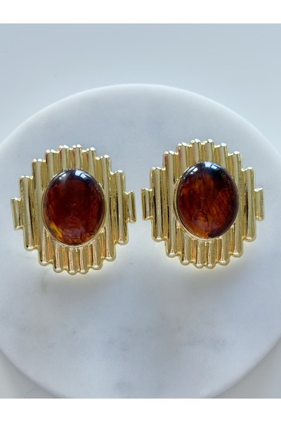 CHARMLUCKY Steel Leia Earrings