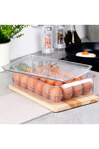 Other Egg holder with lid for 24 eggs