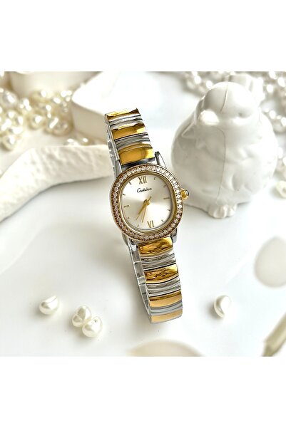 Forsining -Ceshdun-(Gold& Silver) Minimal Case Stone Women's Wrist Watch
