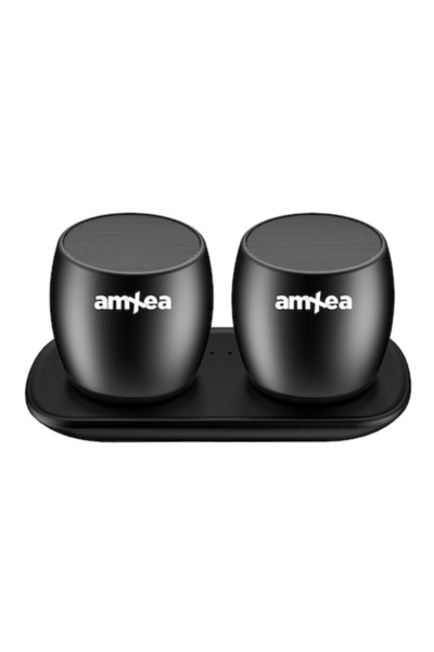 amXea F1 Portable Speaker Set (Black) with Charging Dock, Bluetooth, Magnetic Base