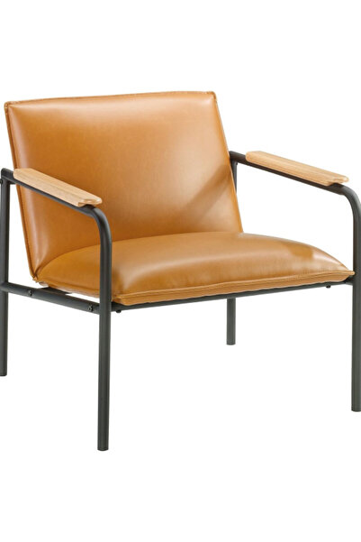Sauder Boulevard Metal Frame Elegant Design Cafe Lounge Chair