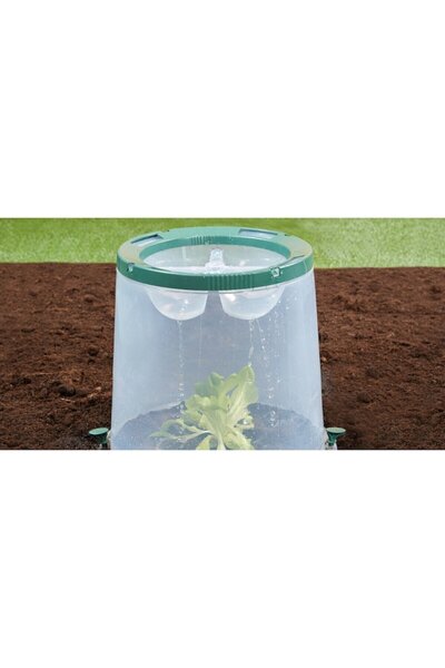 OEM Set of 3 Sunny Forcing Cloche - Transparent, 30x35 cm