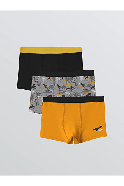 LC Waikiki Printed Boy's Boxer Set of 3