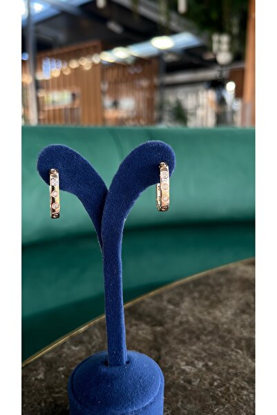 cansuaccessoire TAŞLI ATAÇ ÇELİK KÜPE