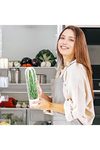 Herb Herb Keeper for Refrigerator (2 Pack) Keeps cilantro, parsley, mint, and asparagus fresh for up to 3 weeks.