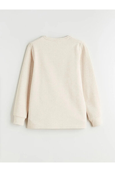 LC Waikiki Crew Neck Printed Boys' Pajamas Set