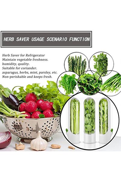 Herb Herb Keeper for Refrigerator (2 Pack) Keeps cilantro, parsley, mint, and asparagus fresh for up to 3 weeks.