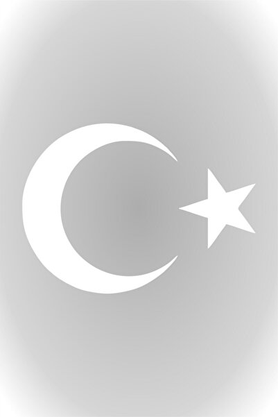 Etiket Dünyası Ay Yıldız Sticker Türk Bayrağı Sticker 12 X 8 Cm 2 ADET Beyaz