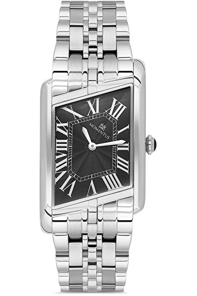 Momentus CM365S-04SS