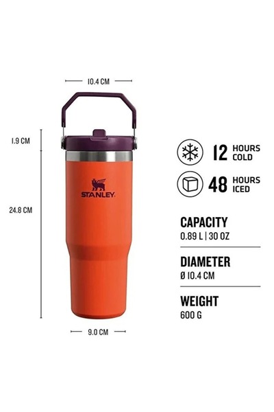 Stenley Stanley 0.89L The IceFlow™ Thermos Cup with Flip Straw – Stainless Steel Water Tumbler