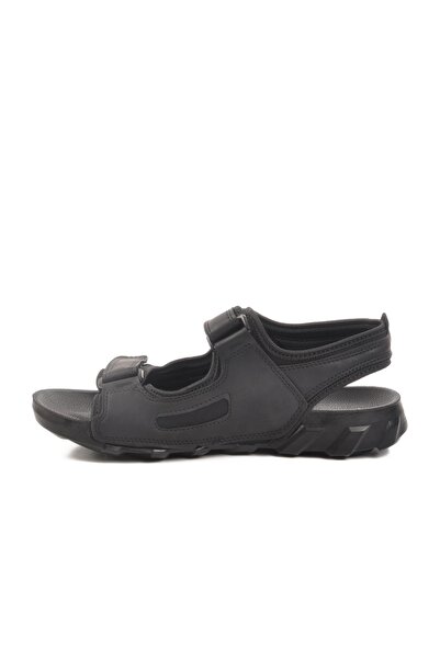 Pierre Cardin Pc-7242 m Black Men's Sandals