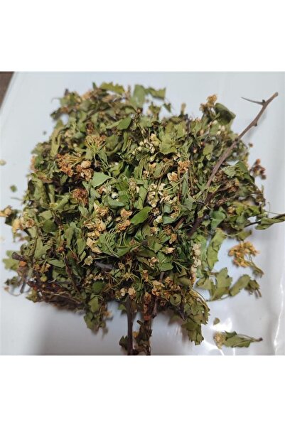 Aktar Depo Alıç Yaprağı Çiçekli 2025 Yeni 250 GR