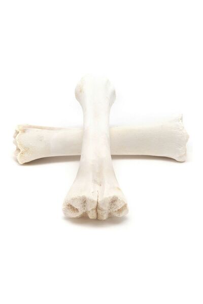 Gloria Dog Snack Bone Calcium 20 Units