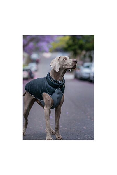 RedDingo Dog Coat Red Dingo Puffer Black/Grey 60 cm