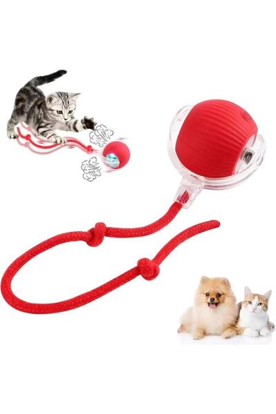 NEXTLY Interactive Pet Ball - Auto Movement, LED Lights, USB Rechargeable, Red