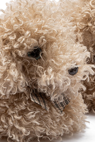 Twigy Digi Kadın, Garson Boy Hayvanlı Panduf Bej 36/41