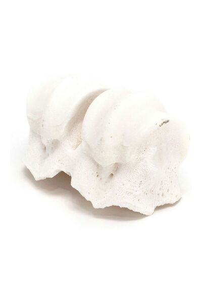 Gloria Dog Snack Knuckles Calcium