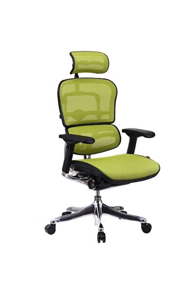 Ergohuman QMOBILI v2 Plus Elite - Plasă 3D Verde Deschis, Tetieră 2D, Suport ...