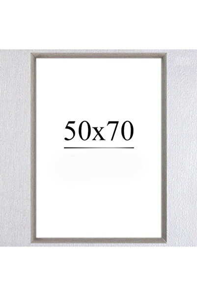 AS TİCARET 50X70 Frame (Without Poster) - Silver