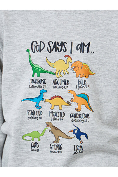 Styli Boys Grey Dinosaur Print Sweatshirt