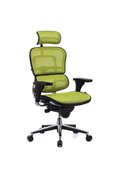 Ergohuman Scaun de birou QMOBILI v1 Plus - Verde, Plasă 3D, Tetieră 2D, Brațe 3D, Bază din aluminiu