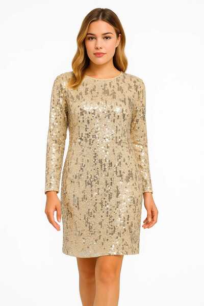 Şans Women's Plus Size Beige, Crew Neck, Sequin Embroidered Lined Evening Dress 65N39207