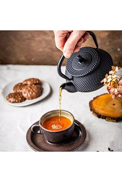 Kinghoff Kettle with infuser, cast iron, 0.3l, traditional kettle,