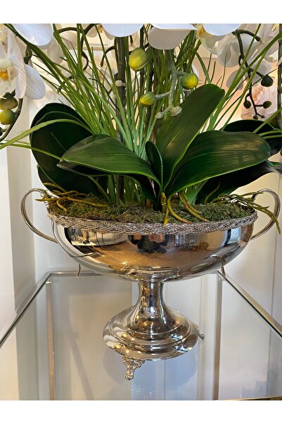 Dekordan House Pirinç Kasede 8 Dal Orkide