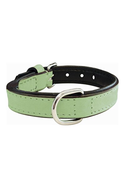 Gloria Dog collar Padded Green (30 x 1,5 cm)