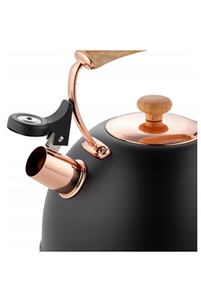 Florentyna Stainless steel kettle with whistle, traditional kettle, 2.5 liter capacity, black, Florina