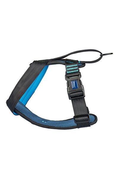 Company Of Animals Ham pentru câini Carsafe, testat la impact, albastru, de c...