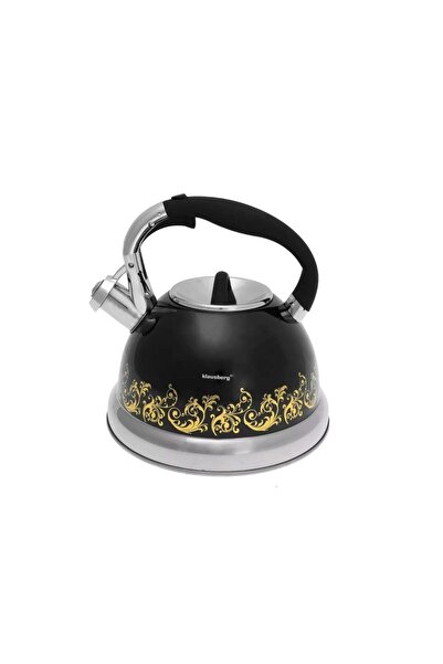 Klausberg Traditional kettle with whistle made of stainless steel, 2.8 liter ...