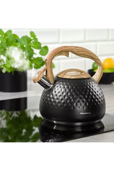 Klausberg Fierbător tradițional cu fluier fabricat din inox, ceainic 2.8 litri, 16-23 cm, negru,