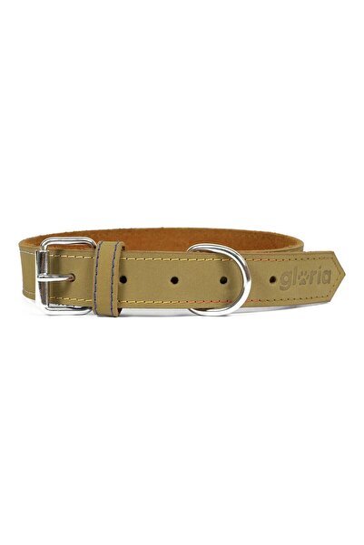 Gloria Dog collar Oasis Green (50 x 2,1 cm)
