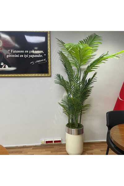 İremÇiçekçilik Krem Gold Darbuka saksıda Tusem Areka - 210 cm