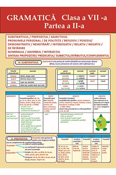 ECK Plansa. Gramatica - Clasa 7 Partea 2